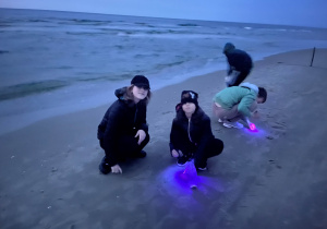 Nocne poszukiwanie bursztynu na plaży z wykorzystaniem lamp UV
