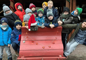 Grupa chłopców siedzi w saniach w Ekologicznej Zagrodzie