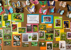 Galeria prac fotograficznych uczniów klas 4-5 w budynku A, które wzięły udział w konkursie „Kolory wiosny”.