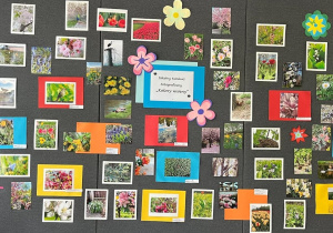 Galeria prac fotograficznych uczniów klas 6-8 w budynku B, które wzięły udział w konkursie „Kolory wiosny”.