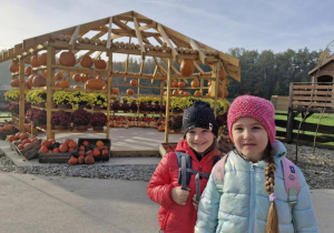 Grupa dzieci stoi na tle, ułożonych na półkach w kształcie piramidy, dyń.