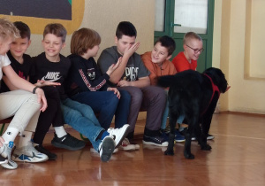 Zajęcia dogoterapii. Dzieci z wraz z psem rasy flat retriver.