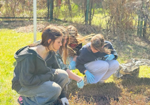 Grupa uczniów z klasy 6b pieli grządki w szkolnym ogródku.