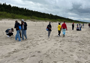 Spacer po plaży i poszukiwanie muszelek