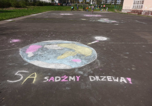 Napis wykonany kredą na asfalcie – „Sadźmy drzewa”