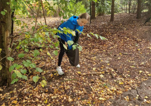 Uczniowie z klas siódmych i ósmych zbierają śmieci na terenie lasu – Uroczysko Lublinek