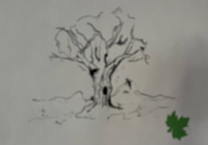 Jesienne drzewa zamieszczone na tablicy w budynku B. Technika – piórko i tusz
