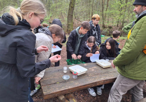 Zajęcia ekologiczne w Łagiewnikach - badanie zanieczyszczenia wody na podstawie wskaźników biologicznych, chemicznych i fizycznych