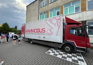 Mammobus