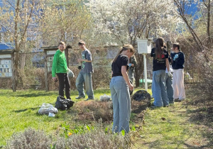 Grupa uczniów z klasy 6b pieli grządki w szkolnym ogródku.