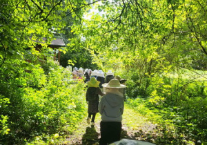 Dzieci idą ścieżką w kapeluszach pszczelarzy. Idą podglądać pszczoły