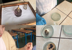 Uczniowie wykonują doświadczenia, podczas których wykrywają składniki pokarmowe takie jak: białka, cukry czy witaminę C w różnych produktach spożywczych