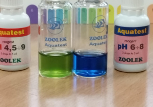 Wyniki badań pH wody wykonane przez uczniów.