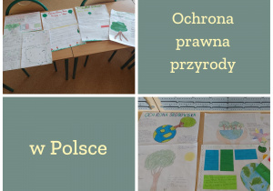 Ochrona prawna przyrody – plakaty wykonane przez uczniów z okazji Dnia Ziemi i Tygodnia Przyrodnika.