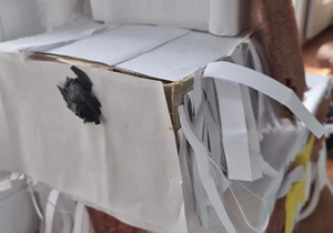 Pies wykonany z pudełek i papieru. Prace wykonał uczeń klasy 3b.