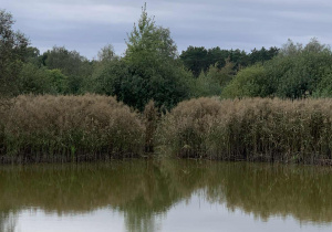 Staw Bielice - Uroczysko Lublinek